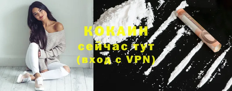 Cocaine FishScale  купить закладку  OMG tor  Заволжье 